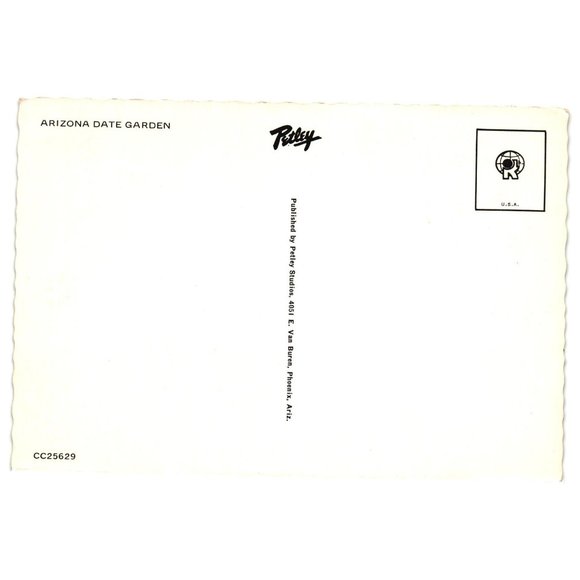 Vintage Postcard Arizona Date Garden Palm Trees Petley Studios Fruit Tree - Picture 2 of 2